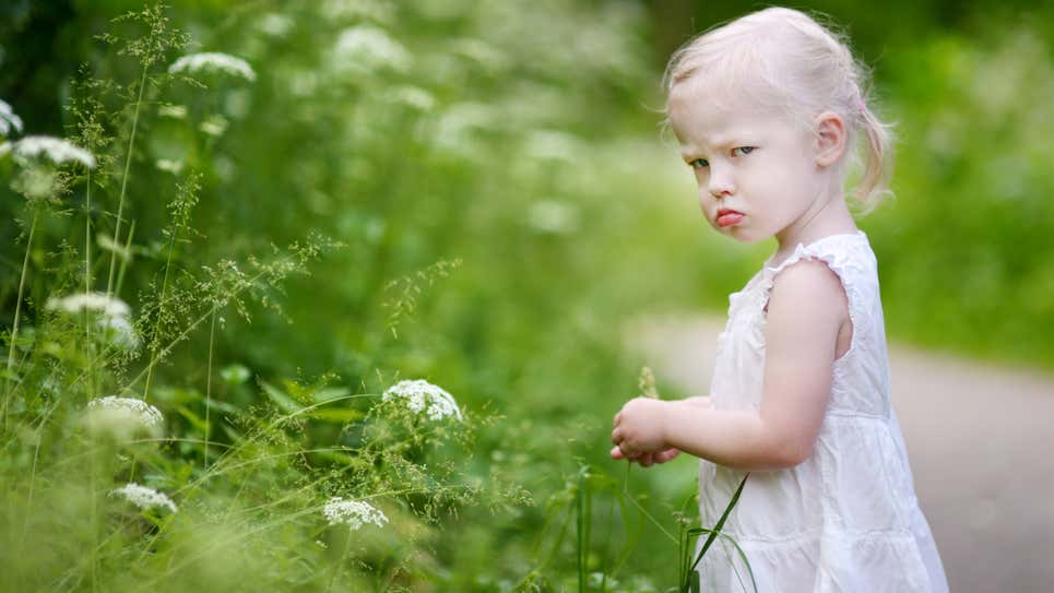 1717416091657877.jpg 1634011543135894.jpg